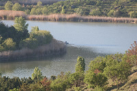 Eymir Gölü Fotoğraf Galerisi 5 (Ankara)