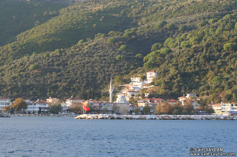 Marmara Adası Fotoğraf Galerisi 1 (Erdek, Balıkesir)