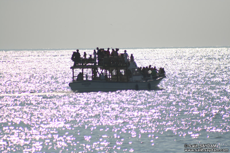 Tekne Fotoğraf Galerisi 2 (Bartın, Amasra)