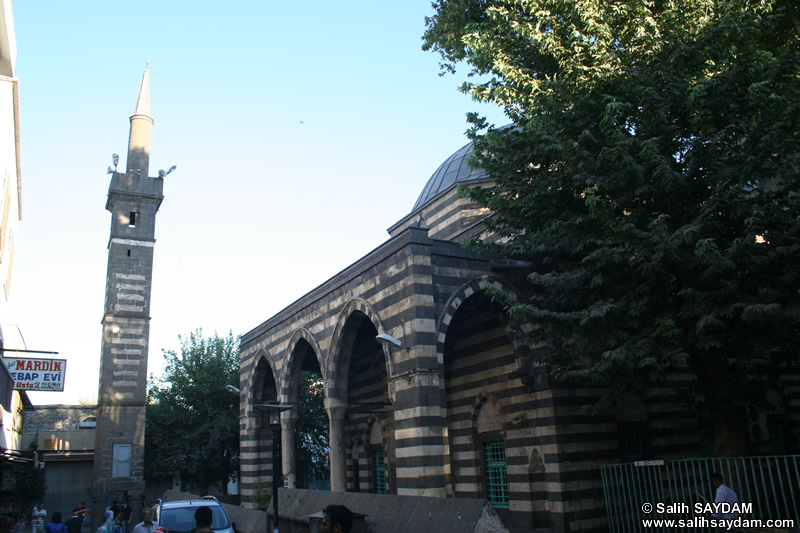 Şeyh Mutahhar (Dört Ayaklı Minare) Camii Fotoğraf Galerisi (Diyarbakır)