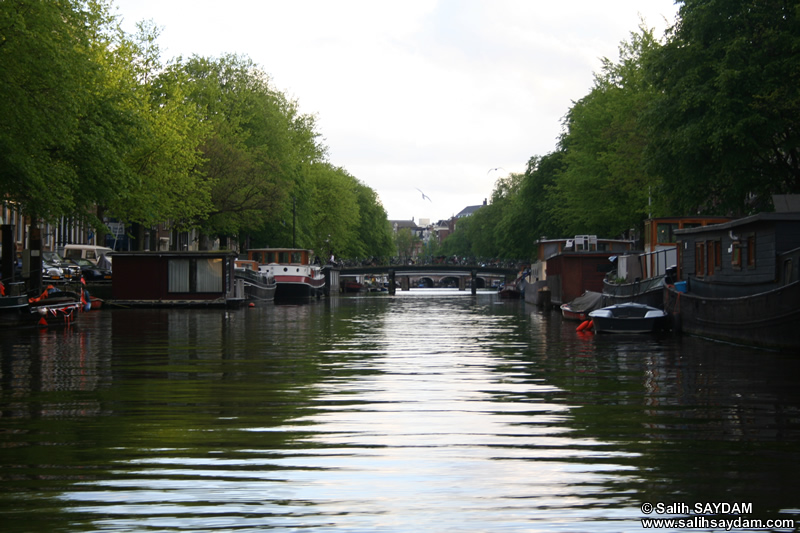 Amsterdam Kanalları Fotoğraf Galerisi 2 (Amsterdam, Hollanda)