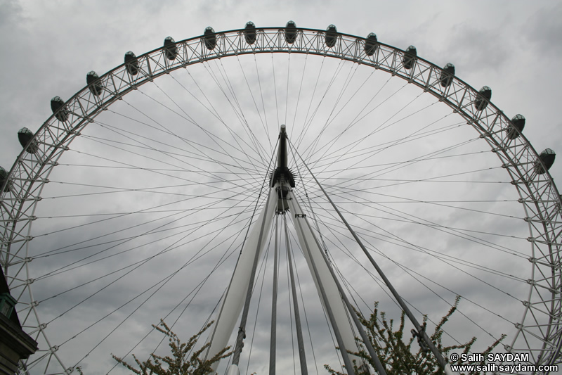 London Eye (Londra'nın Gözü) Fotoğraf Galerisi 01 (İngiltere, Birleşik Krallık)