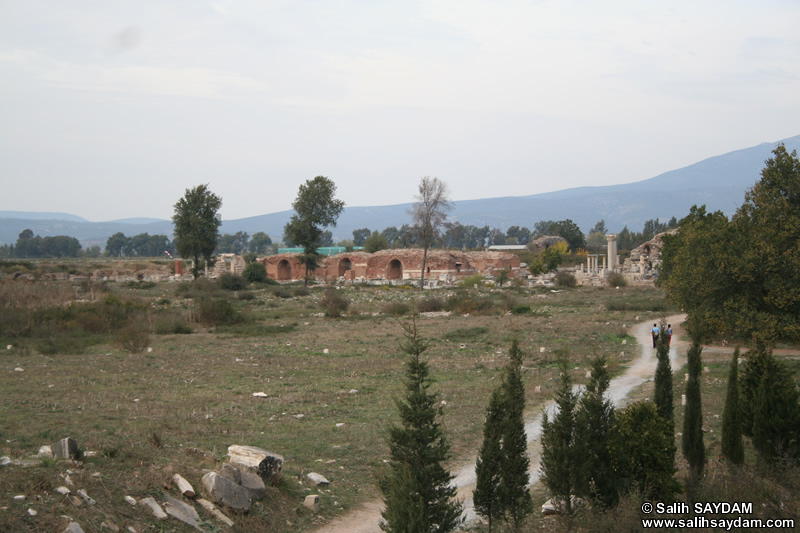 Efes Antik Kenti Fotoğrafı 25 (Meryem Kilisesi) (Selçuk, İzmir)
