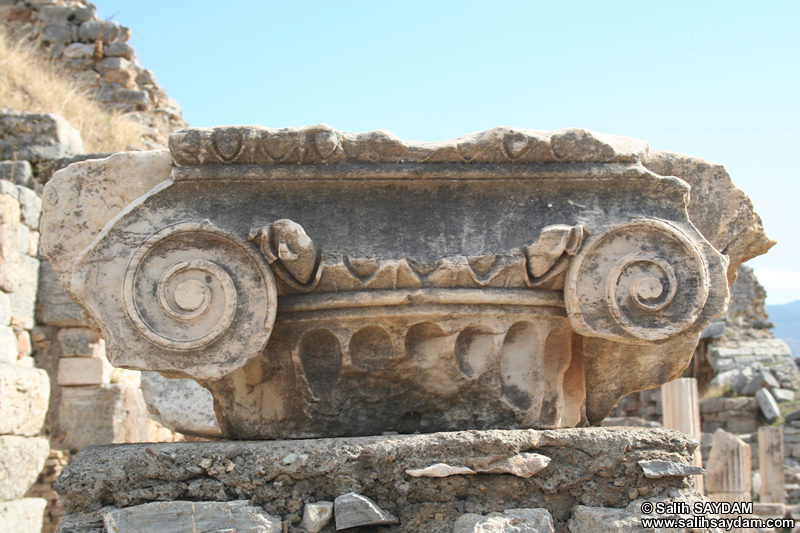 Ephesus Antique City Photo Gallery 30 (Abacus) (Selcuk, Izmir)