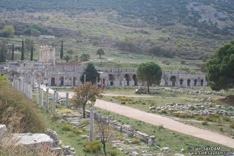 Ephesus Antique City Photo Gallery 31 (Commercial Agora) (Selcuk, Izmir)