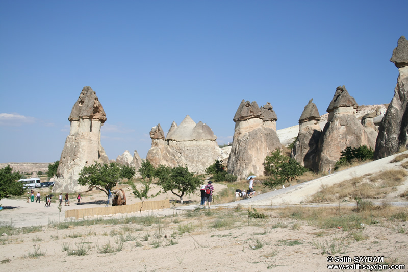 Pasabagi Photo Gallery (Nevsehir, Cappadocia)