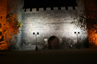 Kayseri Citadel (At Night) Photo Gallery 3 (Kayseri)