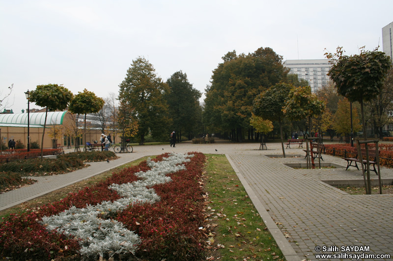 Mirowski Parkı (Parku Mirowskim) Fotoğraf Galerisi (Varşova, Polonya)