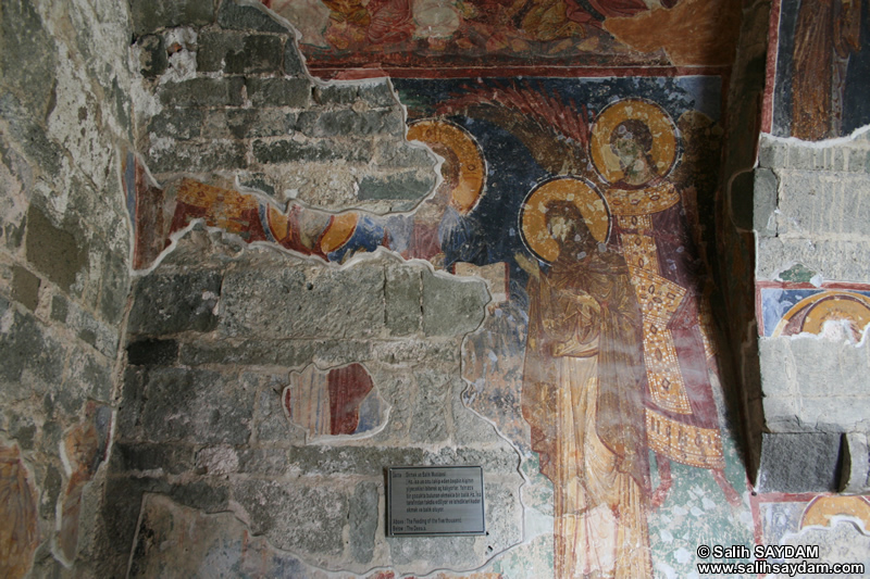 Hagia Sophia Museum Photo Gallery 6 (Hagia Sophia Church, Frescos) (Trabzon)