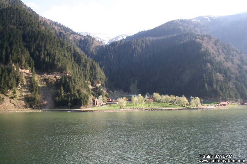 Uzungol (Long Lake) Photo Gallery 3 (Trabzon)