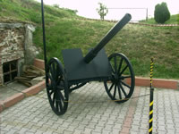 Sukru Pascha Memorial and Balkan War Museum Photo Gallery 3 (Cannon's) (Edirne)