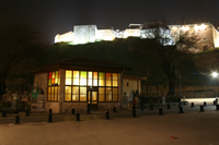 Castle of Gaziantep and Historical Cafe Photo (At Night) (Gaziantep)