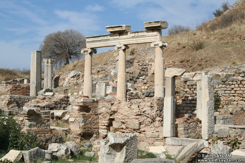 Efes Antik Kenti Fotoraf Galerisi 1 (Seluk, zmir)