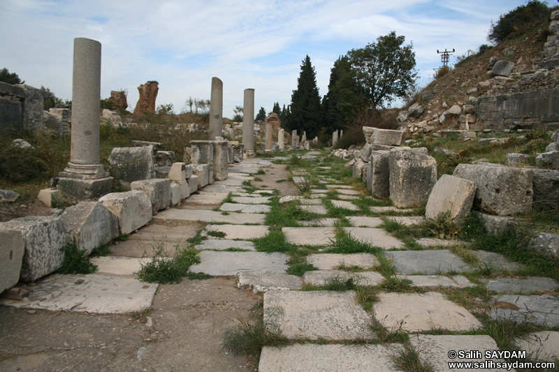 Efes Antik Kenti Fotoraf Galerisi 7 (Seluk, zmir)