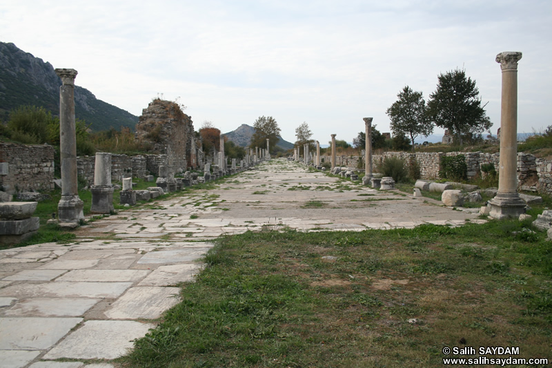 Efes Antik Kenti Fotoraf Galerisi 8 (Arkadiane Caddesi) (Seluk, zmir)