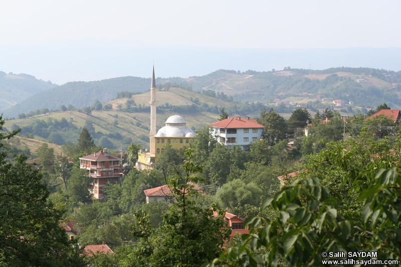 Nuzhetiye Village Photo Gallery 2 (Kocaeli (Izmit), Golcuk)