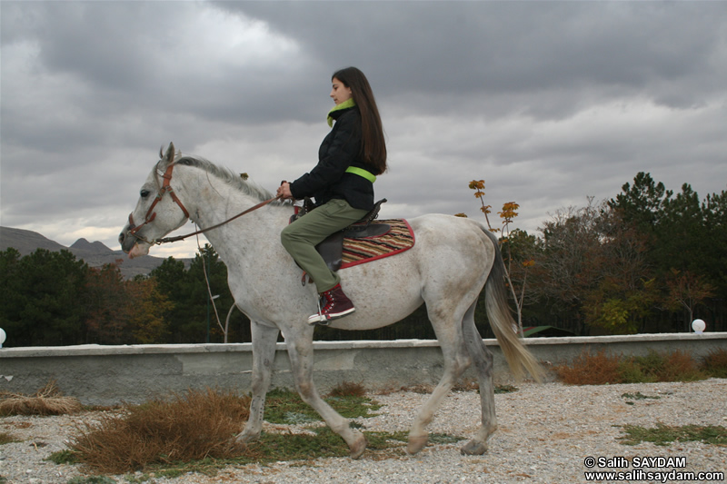 Dolunay Saydam Photo Gallery 3 (Horse Riding)