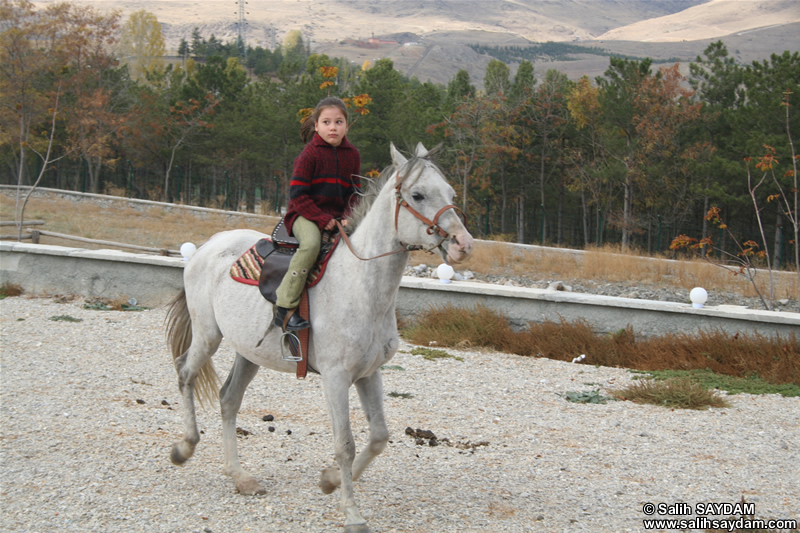 Sevenay Saydam Photo Gallery 6 (Horse Riding)