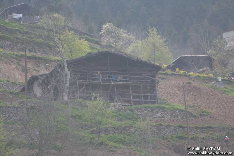 Trabzon ile Uzungl arasnda Yolda Fotoraf Galerisi (Trabzon)